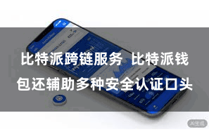 比特派跨链服务 比特派钱包还辅助多种安全认证口头