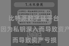 比特派数字链平台 幸免因为私钥深入而导致资产亏损