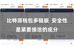 比特派钱包多链版 安全性是紧要接洽的成分