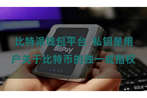 比特派钱包平台 私钥是用户关于比特币的独一戒指权