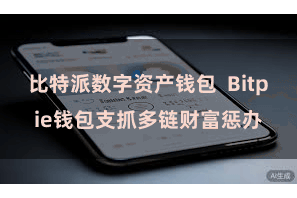 比特派数字资产钱包  Bitpie钱包支抓多链财富惩办
