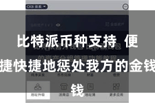 比特派币种支持 便捷快捷地惩处我方的金钱