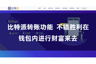 比特派转账功能  不错胜利在钱包内进行财富来去