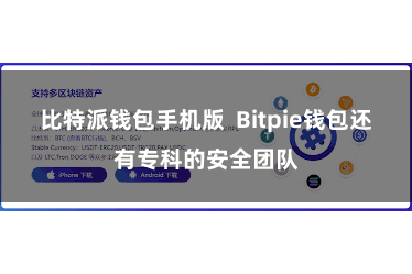 比特派钱包手机版  Bitpie钱包还有专科的安全团队