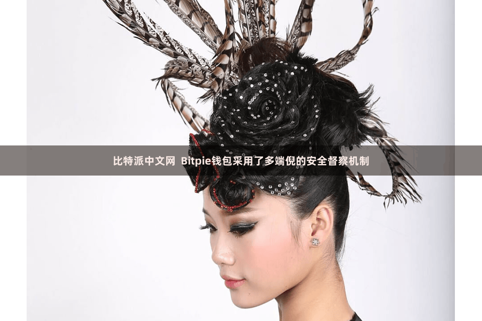 比特派中文网 Bitpie钱包采用了多端倪的安全督察机制