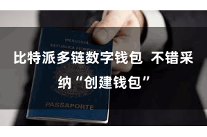 比特派多链数字钱包 不错采纳“创建钱包”