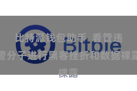 比特派钱包助手  看管违警分子进行黑客挫折和数据裸露