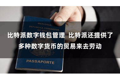 比特派数字钱包管理  比特派还提供了多种数字货币的贸易来去劳动