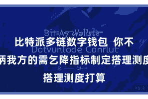 比特派多链数字钱包  你不错把柄我方的需乞降指标制定搭理测度打算