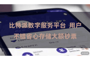 比特派数字服务平台  用户不错省心存储大额钞票