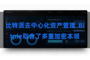 比特派去中心化资产管理  Bitpie取舍了多重加密本领