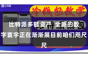 比特派多链资产  全新的数字寰宇正在渐渐展目前咱们咫尺